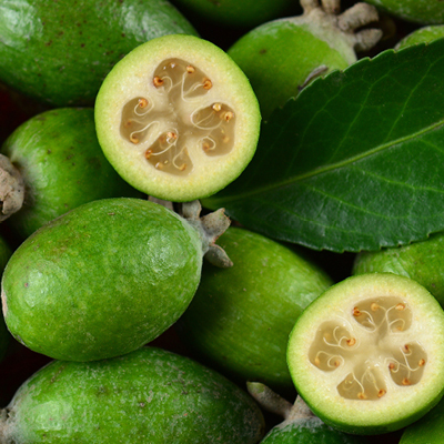 Feijoas