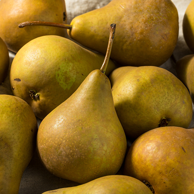 Pears – Bosc