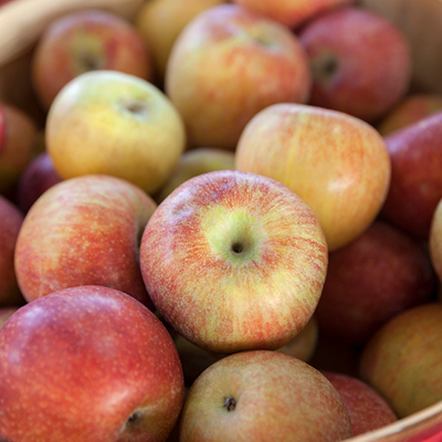 Apples – Braeburn