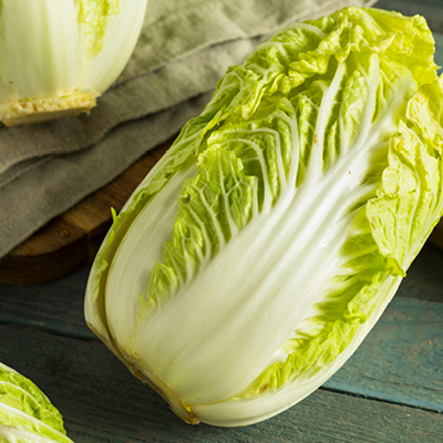 Chinese Cabbage